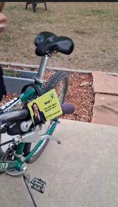 Skatt Security System
